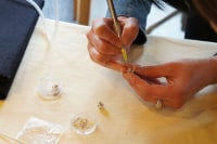 グルーデコサロン Laule'a