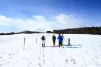 浅間牧場スノーパラダイス アスパラ