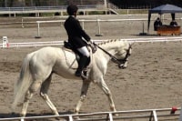 レオナルド・ダ・ヴィンチ牧場