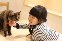 Moff animal world(BIGHOPガーデンモール印西店)