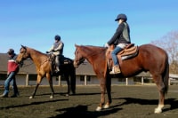 エバーグリーンホースガーデン