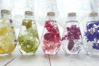 古民家アトリエWISTERIA+