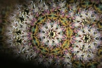 まんげ鏡や 神田教室