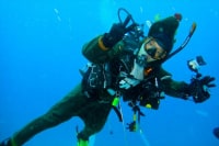 ダイブクラップス