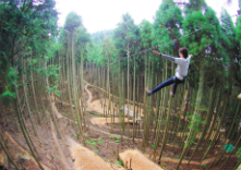 フォレストアドベンチャー・丹波ささやま