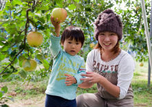 日野観光りんご園