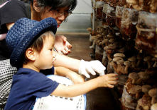 サンコウファーム