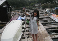 真珠工房 真珠の里