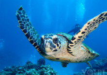 ダイビングショップ YOU&I