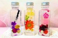 アートスクール ALMA