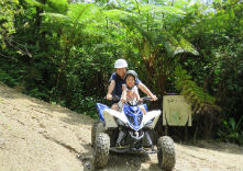 どきどきヤンバルンチャー