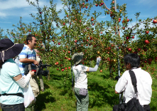 津軽ゆめりんごファーム