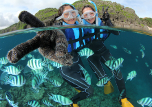 プズマリダイバーズクラブ