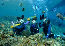 マリントリップ沖縄