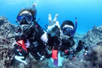 ダイビングスクール マレア池袋