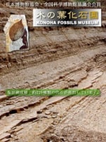 木の葉化石園