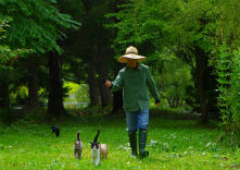 北海道風景画館/画家の庭 風樹園