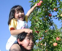 みはらしファーム 観光農園