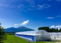 軽井沢ガーデンファームいちご園