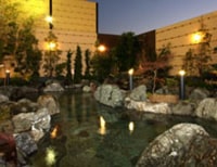 コロナの湯(豊川店)