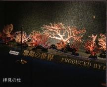 日本サンゴセンター 宝石サンゴ資料館