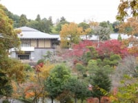 成田山書道美術館