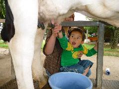 モーモーファーム竹原牧場