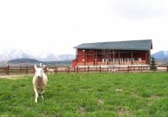 カントリーテラス・コロポックル