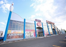 ディノスパーク 帯広稲田