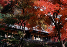 梨木温泉 はせを亭