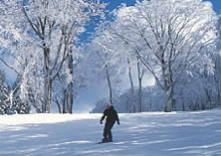 アサヒテングストン スノーパーク