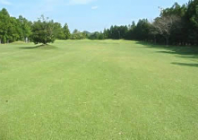 ダイナミックゴルフ茂原