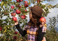 中条フルーツ農場