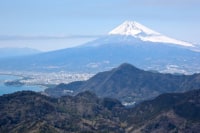 癒しツアーFUJITABI