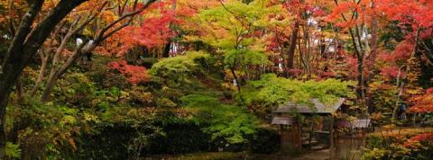 木村茶道美術館