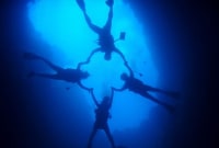 ダイビングプロショップ ル・ポワソン