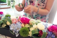 Colorer Rose Chouette