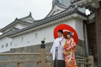 Photo Studio Four Leaf Clover