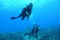 ダイビングショップ アリエス