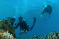 アリストダイバーズ南勢相賀浦店