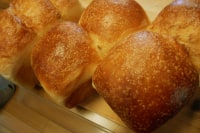 大紀町日本一のふるさと村