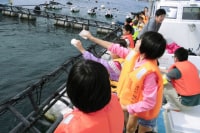 協同組合 尾鷲観光物産協会