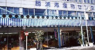 勝浦海産物センター