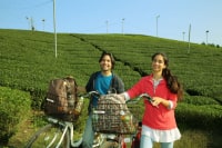 京都旅サイクル誘致協力会