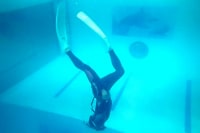 マリン / 大阪ダイビングカレッジ