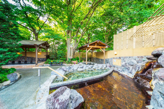 昭島温泉 湯楽の里の写真1