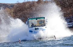 水陸両用バス 山中湖のカバの写真1