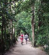 福レンタサイクル・一福茶屋&古民家食堂ゆくるの写真1