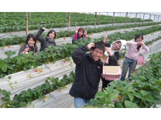 農産物直売所広川くだもの村