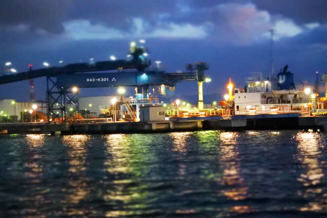 Sea・Friendsの写真1